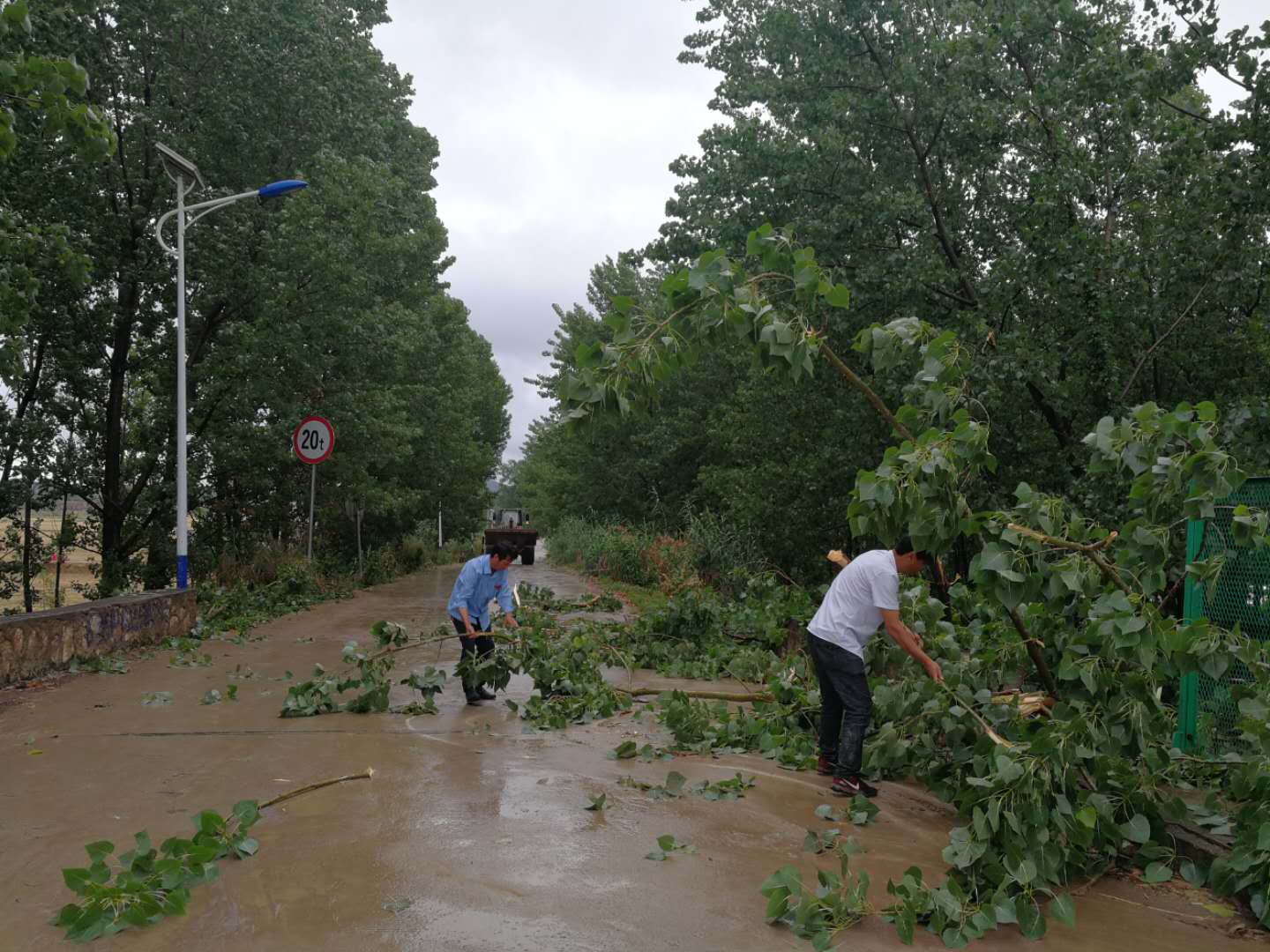 190606武店镇灵泉村组织党员干部清理因大风刮断堆积路面树木.jpg