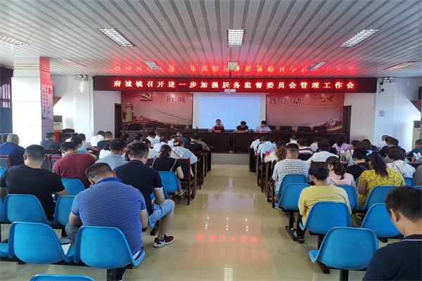 府城镇召开进一步加强居务监督委员会管理工作会.jpg