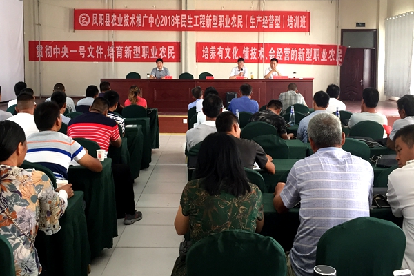 图片1_副本.jpg