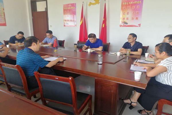李刚在红心镇调研指导村两委换届.jpg