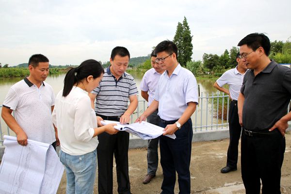 2.县委书记徐广友在明中都皇故城国家考古遗址公园东华门附近路段调研.JPG