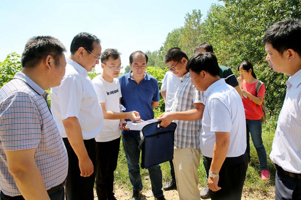 1.调研组实地查看临淮关跨淮河大桥南岸规划桥址.JPG