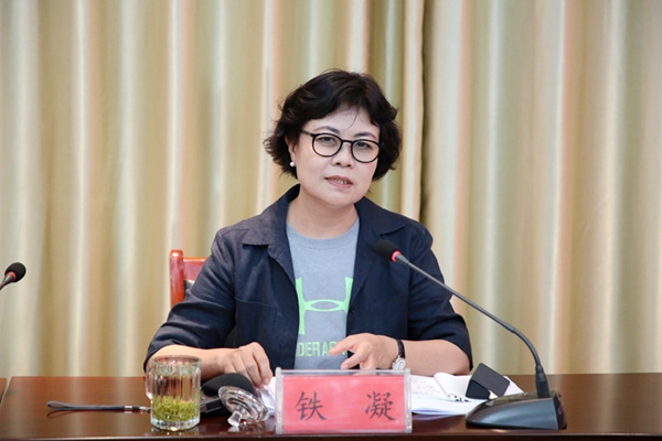 2.中国文联主席、中国作协主席铁凝讲话.JPG