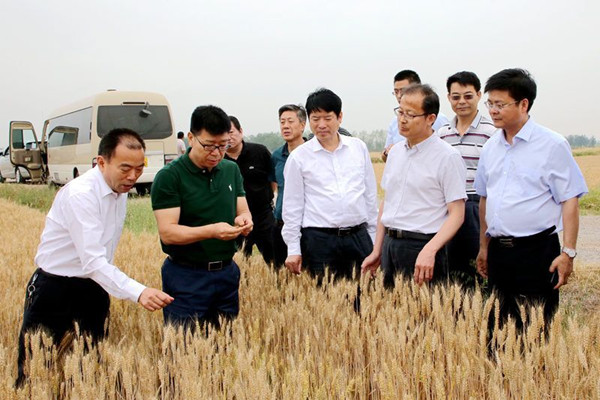 QQ图片20190606095854_副本.jpg