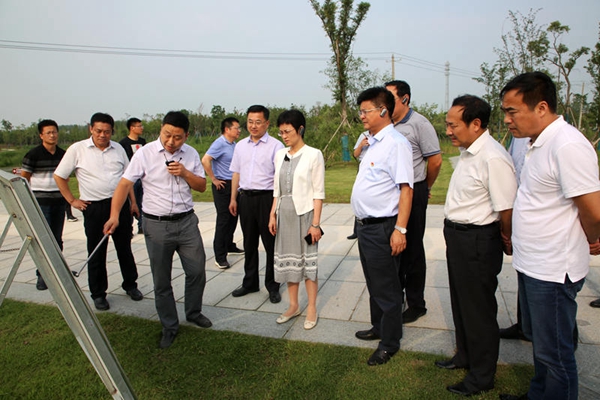 3.在明皇陵景区提升二期项目参观考察.JPG