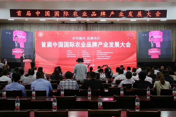 1.大会现场.JPG