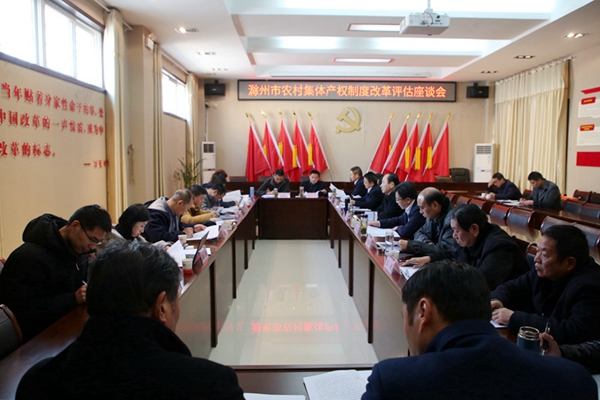 1.滁州市农村集体产权制度改革评估座谈会.JPG