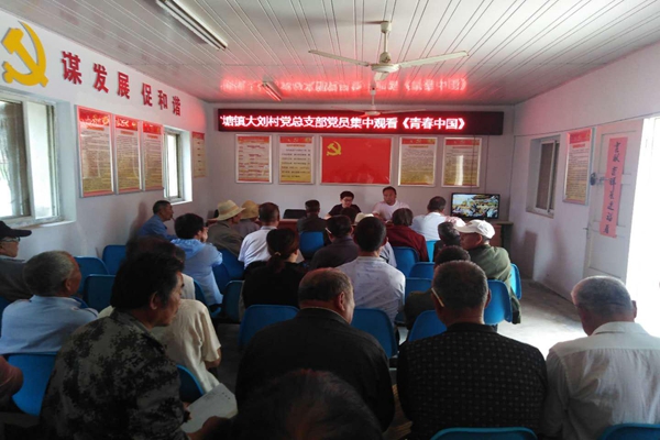 凤阳县官塘镇大刘村组织全体党员集中观看电教片《青春中国》.JPG